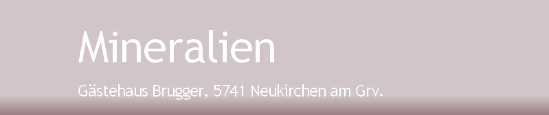 Gästehaus Brugger, 5741 Neukirchen am Grv.